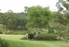 Burwood Heights VICresidential-landscaping-40.jpg; ?>