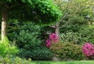 Burwood Heights VICresidential-landscaping-74.jpg; ?>